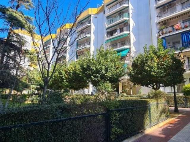 Piso en alquiler en Sevilla, Ronda de Triana Patrocinio Turruñuelo