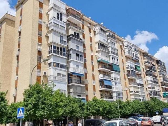 Piso en alquiler en Sevilla, Ronda de Triana Patrocinio Turruñuelo