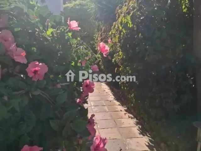 Piso en alquiler en Torremolinos