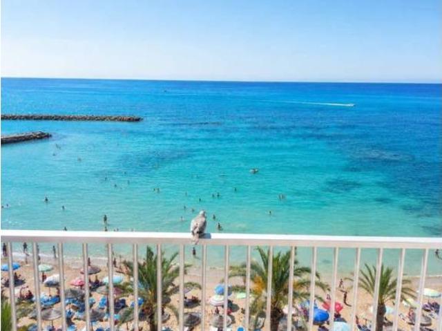 Piso en Alquiler en Torrevieja
