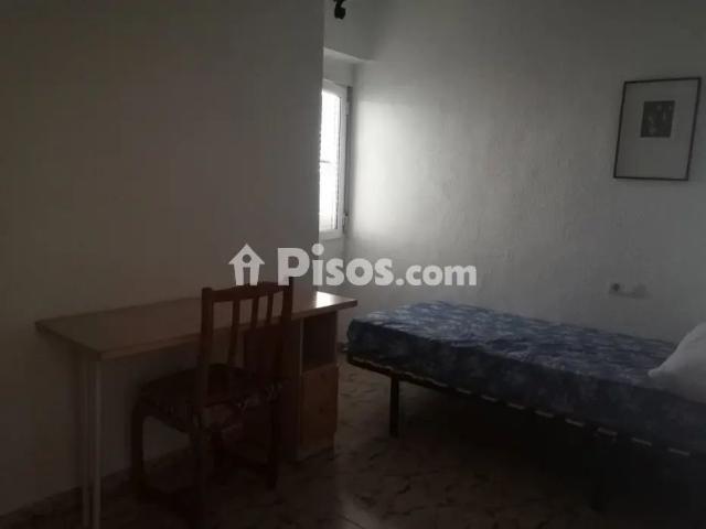 Piso en alquiler en Triunfo Jardin