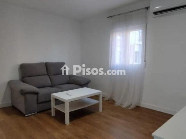 Piso en alquiler en Valdepasillas