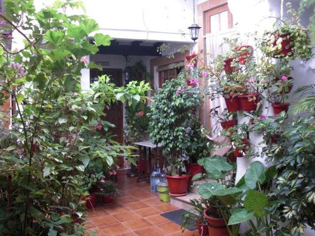 Piso en Alquiler en Vejer de la Frontera