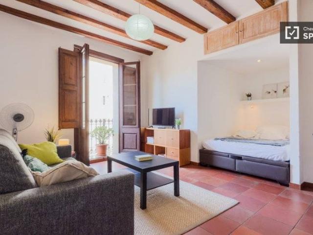 Piso en Alquiler en Vila de Gràcia