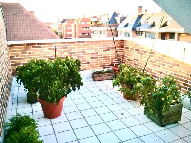 Piso en alquiler, Las Rozas de Madrid, Madrid