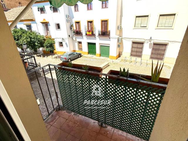 Piso en la céntrica zona de San Pedro