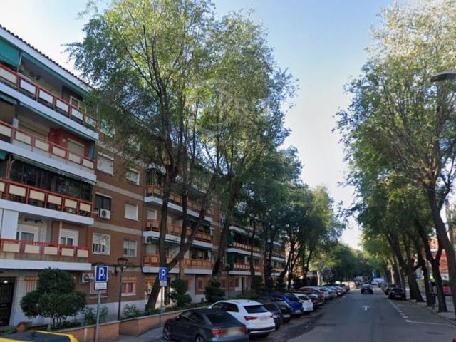 Piso en Pinto