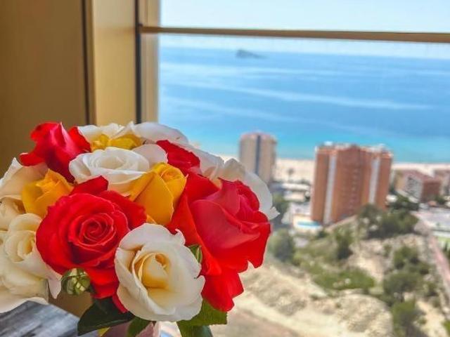 Piso en venta Benidorm