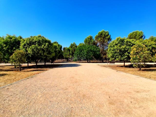 Piso en venta en Madrid, Valdebernardo Valderribas. Pisos.
