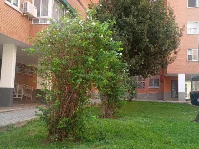 Piso en venta en Madrid, San Blas Los Arcos