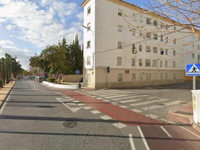 Piso en venta en Málaga, Mangas Verdes Las Flores
