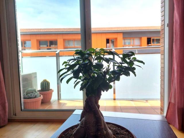 Piso en Venta en Manresa