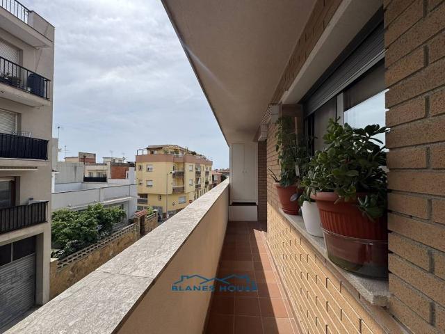 Piso en Venta en Mas Florit Ca la Guidó