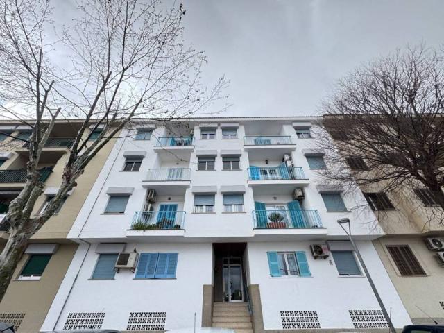 Piso en Venta en Marratxí