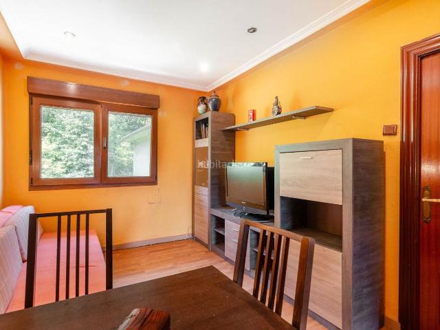 Piso en venta en Mieres, Zona Rural. Piso en calle X, Rioturbio. Pisos.