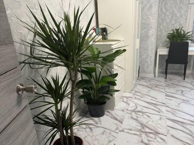 Piso en venta en Mislata