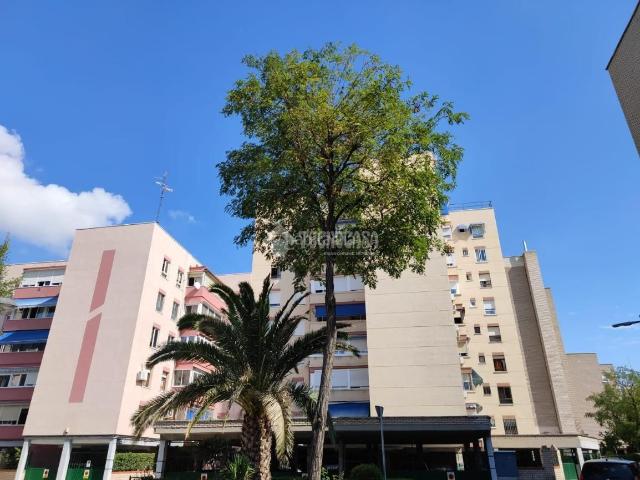 Piso en venta en Móstoles, Sur PAU 4. Piso en venta en Móstoles. Pisos.