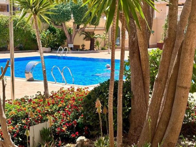 Piso en venta en Orihuela Alicante