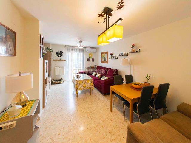 Piso en venta en Alameda. Amplio piso de 3 dormitorios con parking y trastero en zona tranquila de Alameda. Pisos.