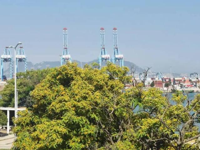 Piso en Venta en Algeciras