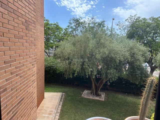 Piso en venta en Alicante, Babel. OPORTUNIDAD PARA INVERTIR PISO 4 HAB EN BABEL. Pisos.