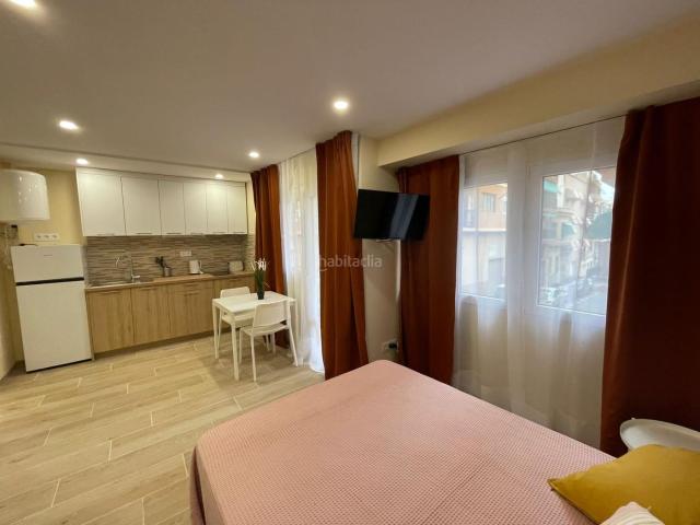 Piso en venta en Alicante, Carolinas Bajas. Piso dividido en estudios. Oportunidad inversores. Pisos.