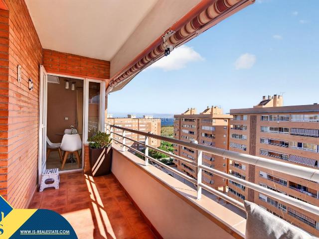 Piso en venta en Alicante, Palmeral. Apartamento con piscina comunitaria, en la provincia de Alicante, en la ciudad de Alicante. 3 habitaciones 90 m² A 700 metros. Pisos.