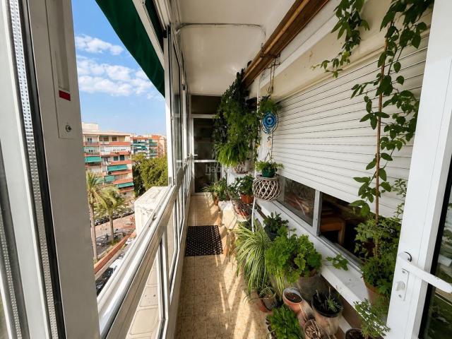 Piso en venta en Alicante, Pla de Bon Repós. VIVIENDA DE 3 DORMITORIOS CON ASCENSOR Y BALCON. Pisos.