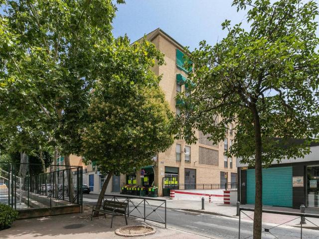 Piso en Venta en Angustias Chana Encina