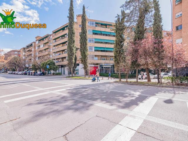 Piso en Venta en Angustias Chana Encina