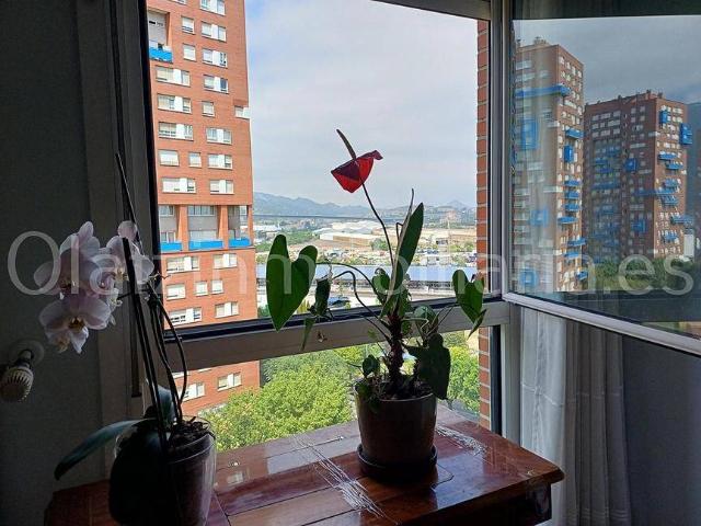 Piso en Venta en Bagatza San Vicente