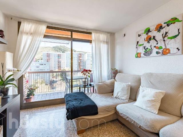 Piso en venta en Barcelona, Canyelles. Pisos.