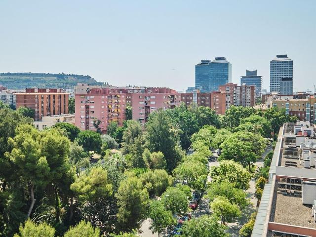 Piso en venta en Barcelona, La Marina del Port. Pisos.