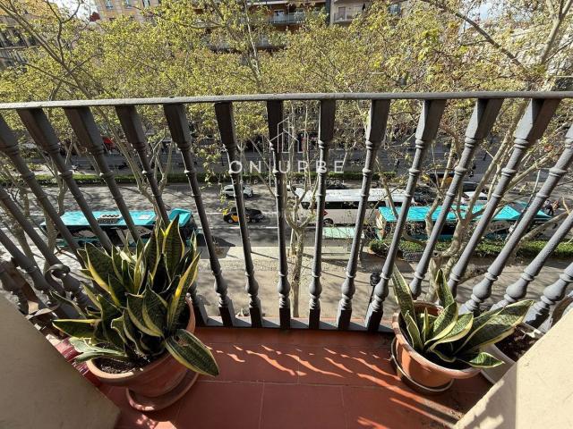 Piso en venta en Barcelona, La Nova Esquerra de l´Eixample. BARRIO SANT ANTONI. Pisos.