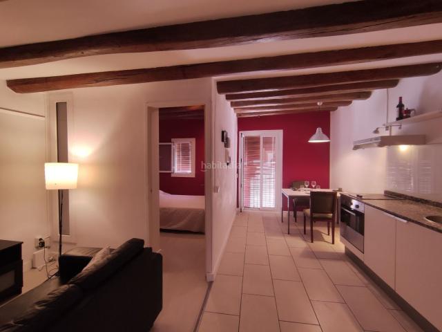Piso en venta en Barcelona, Raval. Piso de 1 habitación en el Raval a pocos min de Mercat de Sant Antoni. Pisos.