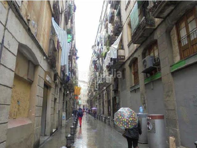 Piso en venta en Barcelona, Raval. Pisos.