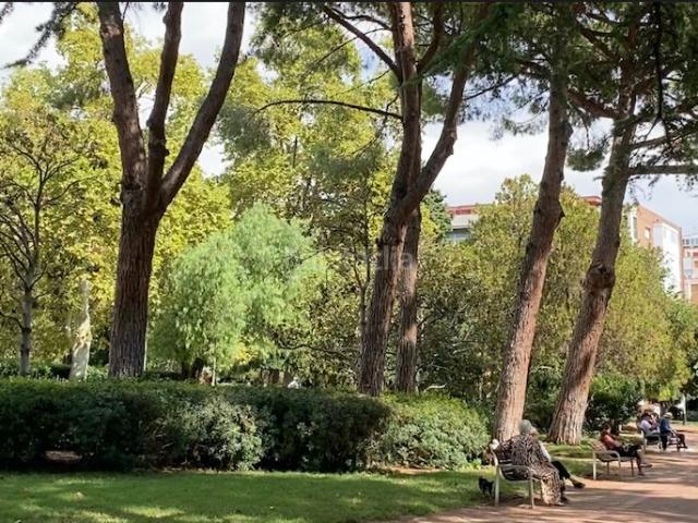 Piso en venta en Barcelona, Sarrià. Junto al Parque de Santa Amelia. Pisos.