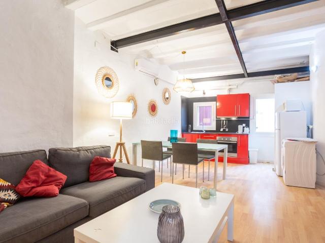 Piso en venta en Barcelona, St. Pere Sta. Caterina El Born. Excelente piso cerca del Palau de la musica. Pisos.