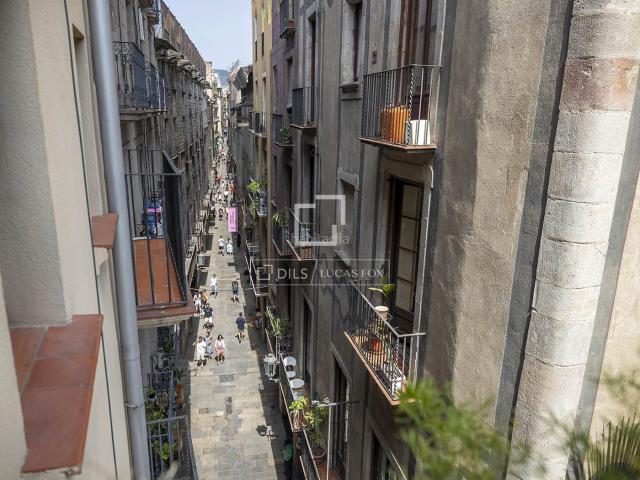 Piso en venta en Barcelona, St. Pere Sta. Caterina El Born. Elegante piso en el Born. Pisos.