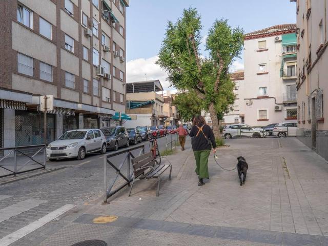 Piso en Venta en Barrio de Zaidín