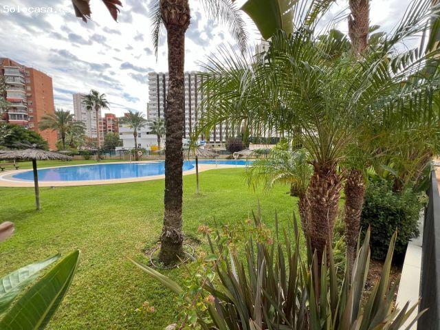Piso en Venta en Benidorm, Alicante
