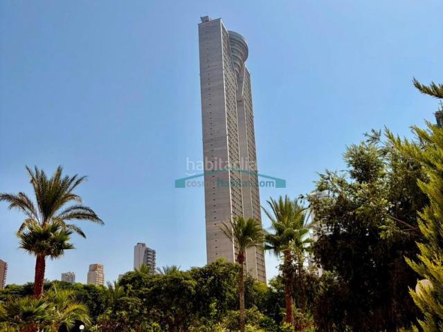 Piso en venta en Benidorm, Playa Poniente. Piso en venta en Avda Murtal. Pisos.
