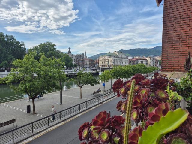 Piso en venta en Bilbao, Albia. VIVIENDA EXCLUSIVA TODA REFORMADA CON VISTAS AMPLIAS A LA RIA. Pisos.