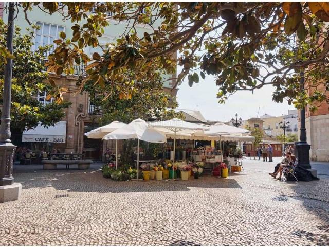 Piso en venta en Cádiz, La Caleta La Viña. Venta de piso en Cádiz Capital, zona Mercado de Abastos. Pisos.