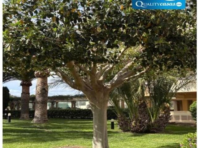 Piso en Venta en Campello, El Alicante Ref: 38321