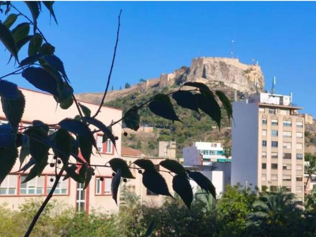 Piso en Venta en Campoamor