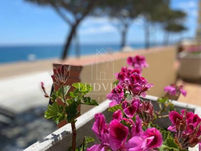 Piso en Venta en Castell Platja d'Aro