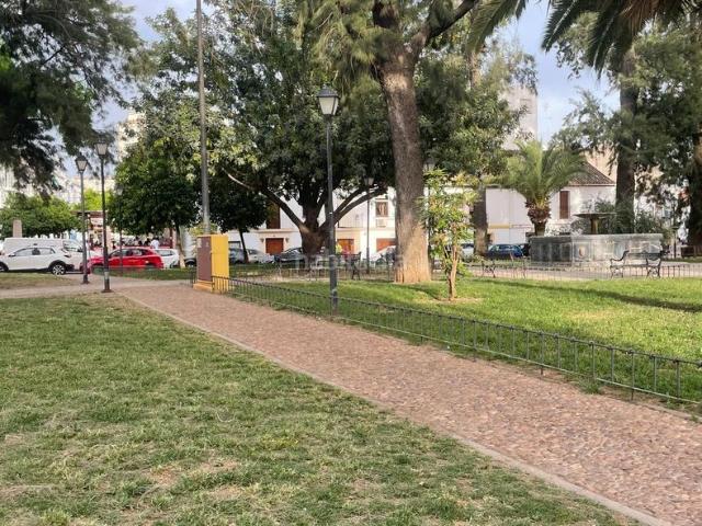 Piso en venta en Córdoba, Casco Histórico Ribera San Basilio. EXCELENTE VIVIENDA EN LA PLAZA DE LA MAGDALENA CON GARAJE. Pisos.