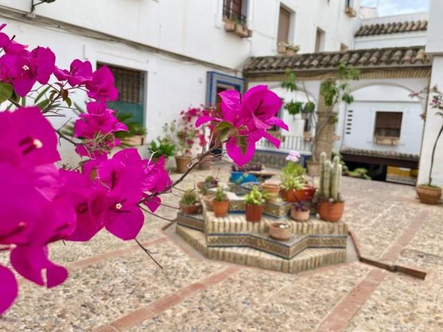 Piso en venta en Córdoba, Juderia