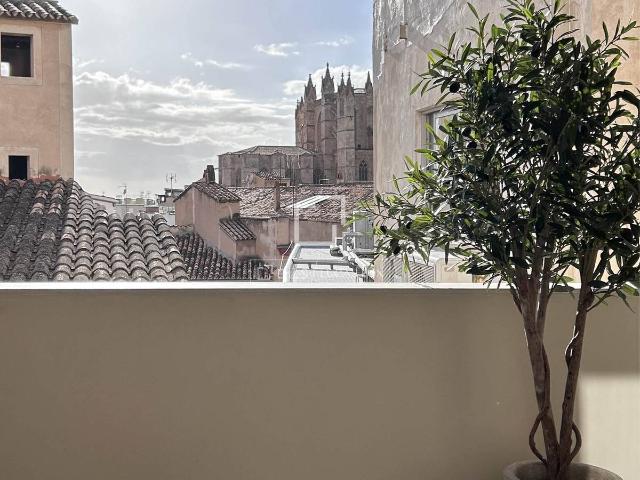 Piso en Venta en Cort